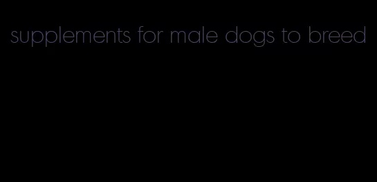 supplements for male dogs to breed