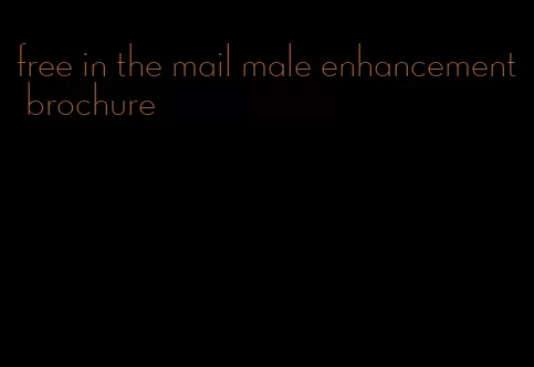 free in the mail male enhancement brochure