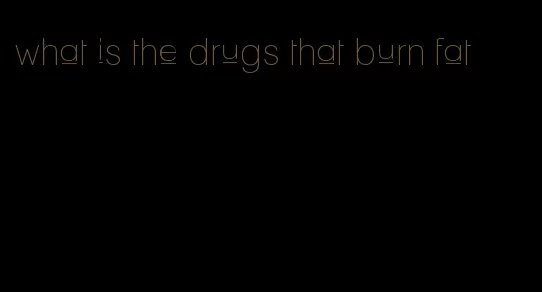 what is the drugs that burn fat