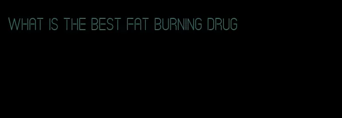 what is the best fat burning drug