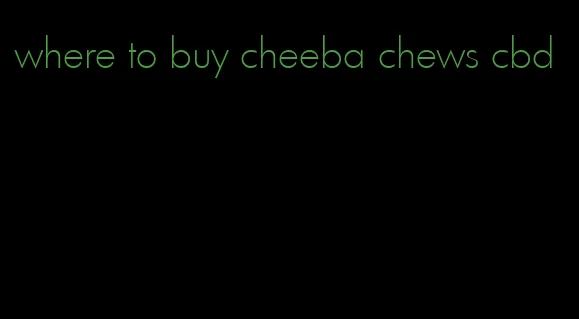 where to buy cheeba chews cbd