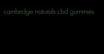 cambridge naturals cbd gummies