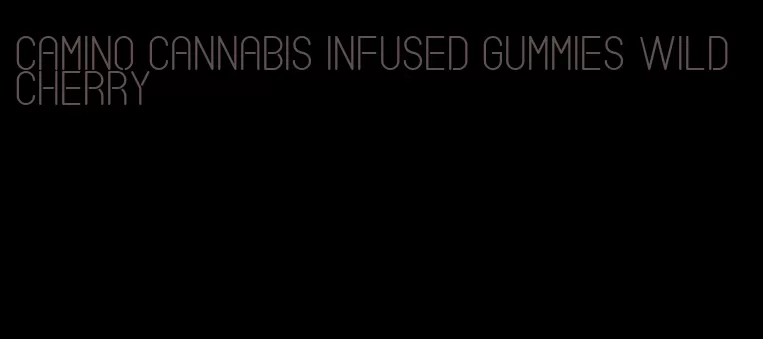 camino cannabis infused gummies wild cherry