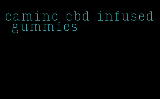 camino cbd infused gummies