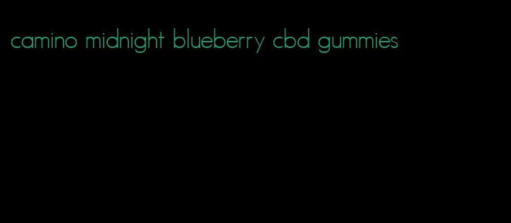 camino midnight blueberry cbd gummies