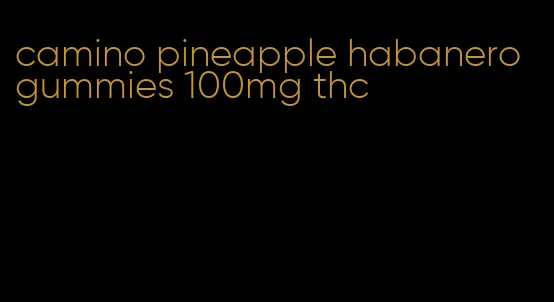 camino pineapple habanero gummies 100mg thc