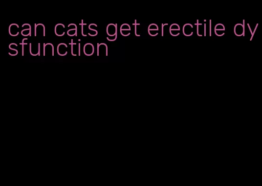 can cats get erectile dysfunction