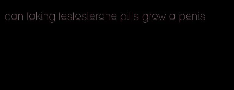 can taking testosterone pills grow a penis