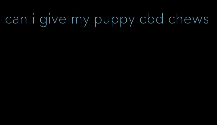 can i give my puppy cbd chews