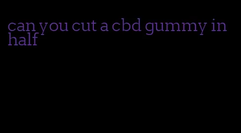 can you cut a cbd gummy in half