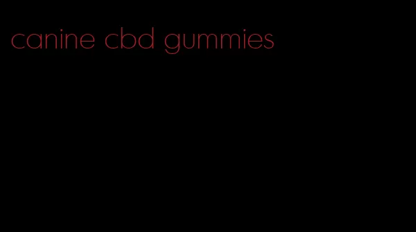 canine cbd gummies