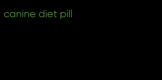 canine diet pill