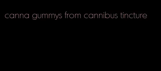 canna gummys from cannibus tincture