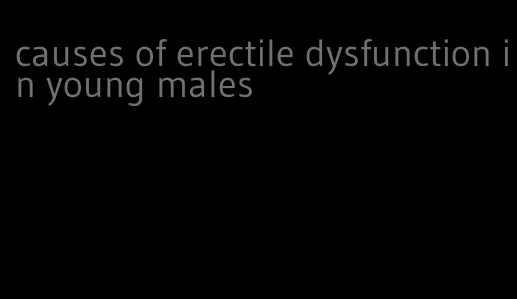 causes of erectile dysfunction in young males