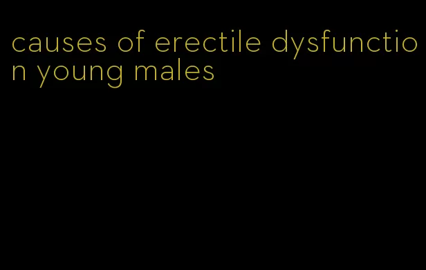 causes of erectile dysfunction young males