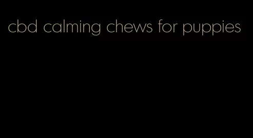 cbd calming chews for puppies