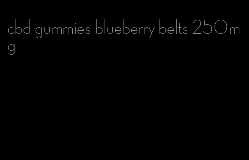 cbd gummies blueberry belts 250mg