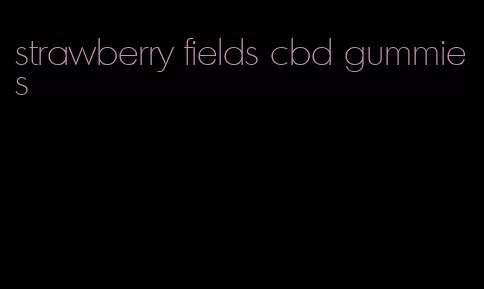 strawberry fields cbd gummies