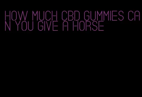 how much cbd gummies can you give a horse