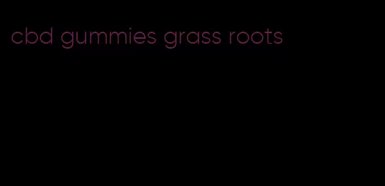 cbd gummies grass roots