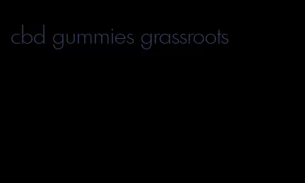 cbd gummies grassroots