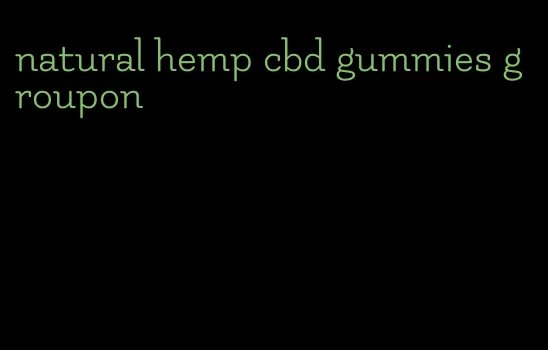 natural hemp cbd gummies groupon