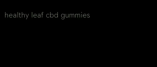 healthy leaf cbd gummies