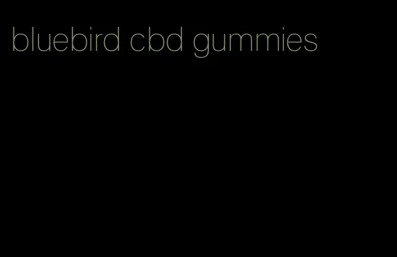 bluebird cbd gummies