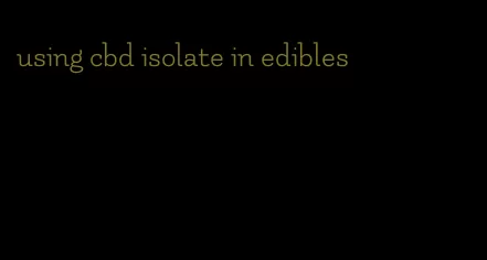 using cbd isolate in edibles