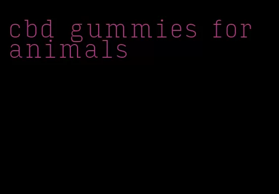 cbd gummies for animals