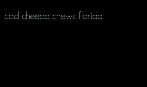 cbd cheeba chews florida