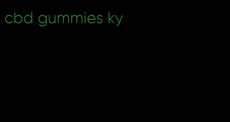 cbd gummies ky