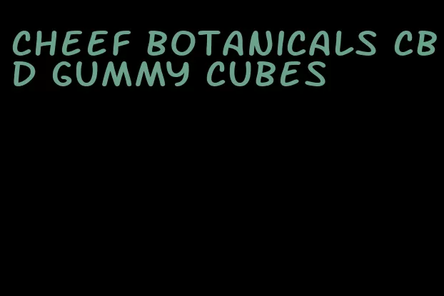 cheef botanicals cbd gummy cubes