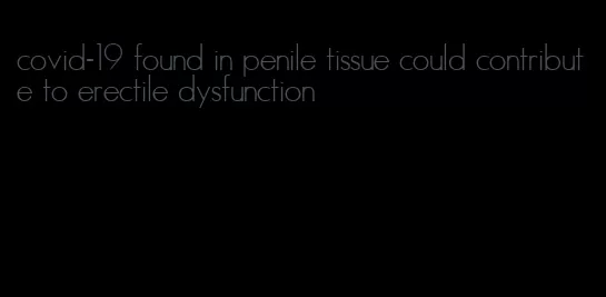 covid-19 found in penile tissue could contribute to erectile dysfunction