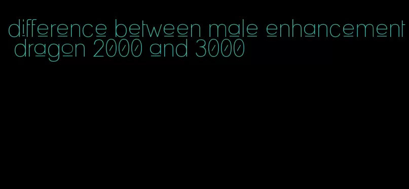 difference between male enhancement dragon 2000 and 3000