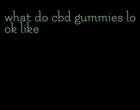 what do cbd gummies look like