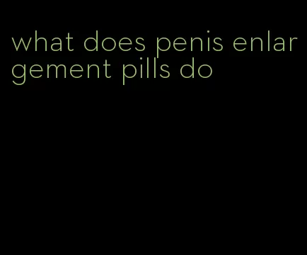 what does penis enlargement pills do