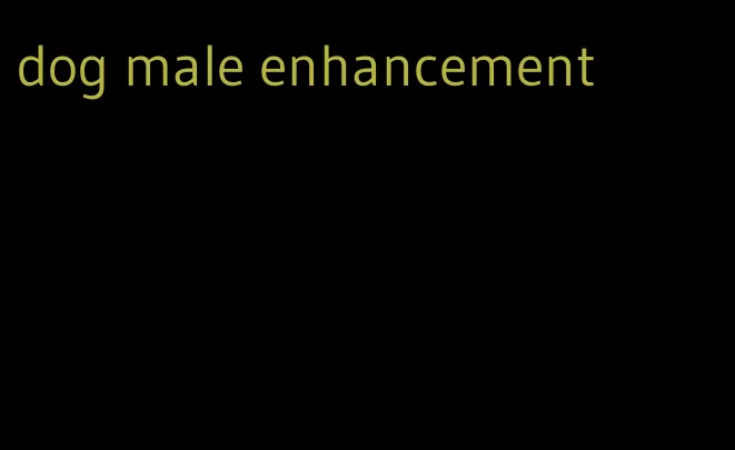 dog male enhancement