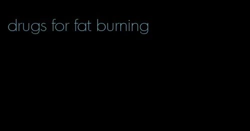 drugs for fat burning