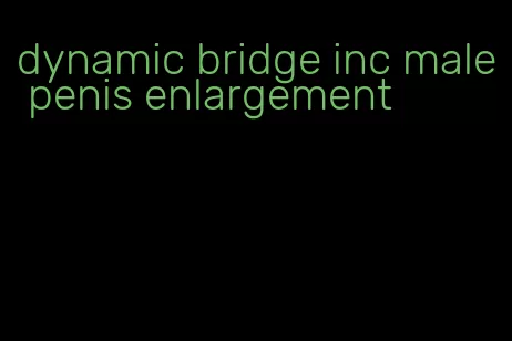 dynamic bridge inc male penis enlargement