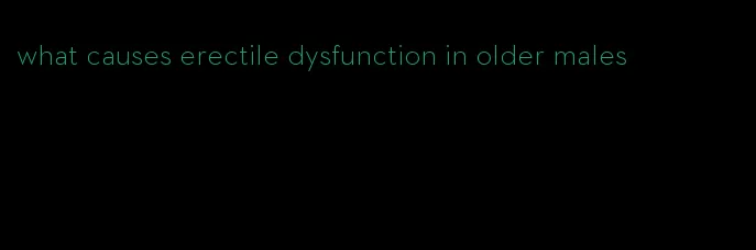 what causes erectile dysfunction in older males