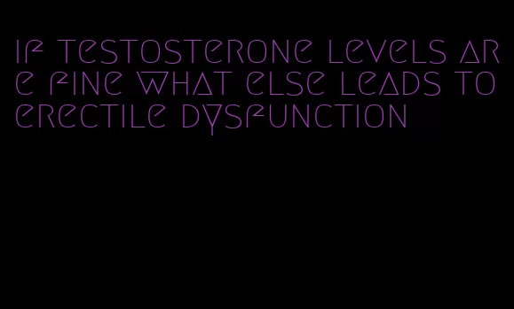 if testosterone levels are fine what else leads to erectile dysfunction