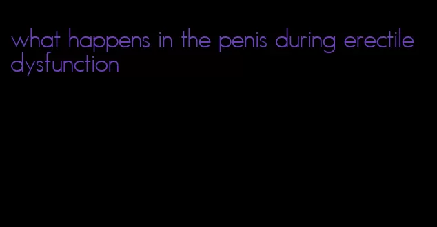 what happens in the penis during erectile dysfunction