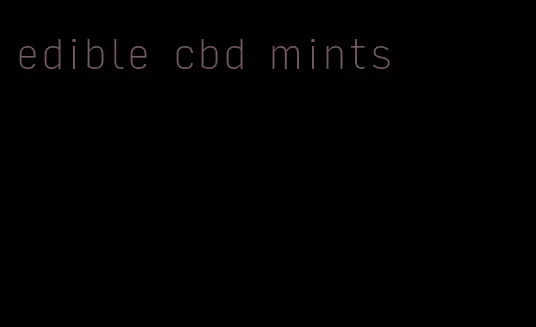 edible cbd mints