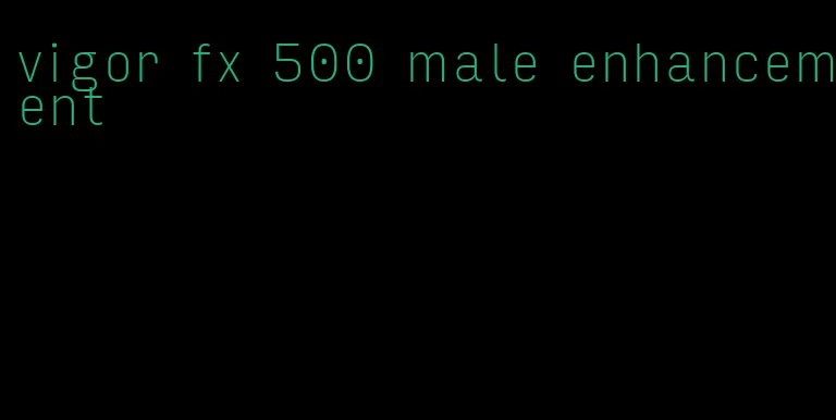 vigor fx 500 male enhancement