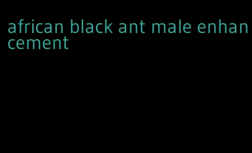 african black ant male enhancement