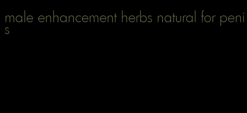 male enhancement herbs natural for penis