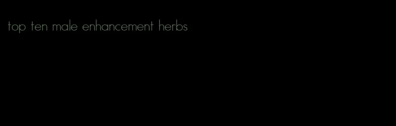 top ten male enhancement herbs