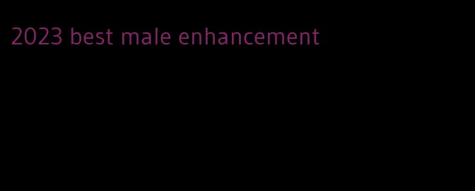 2023 best male enhancement