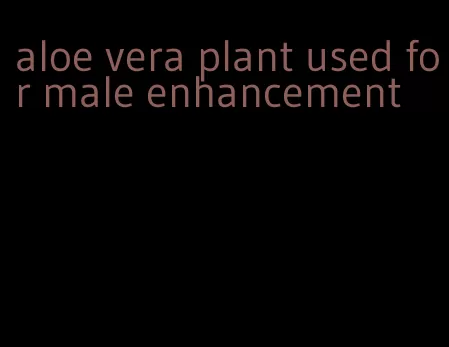 aloe vera plant used for male enhancement